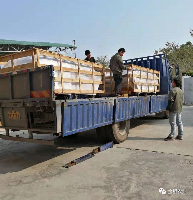 河南省金稻楊總團隊前來廣州交流學(xué)習(xí)及提設(shè)備