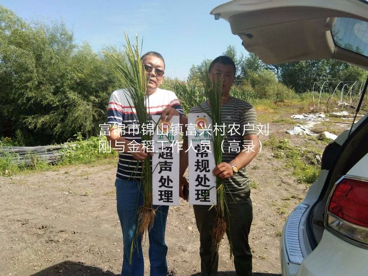 黑龍江雙鴨山市與佳木斯市的超聲波玉米、水稻種植田調(diào)查