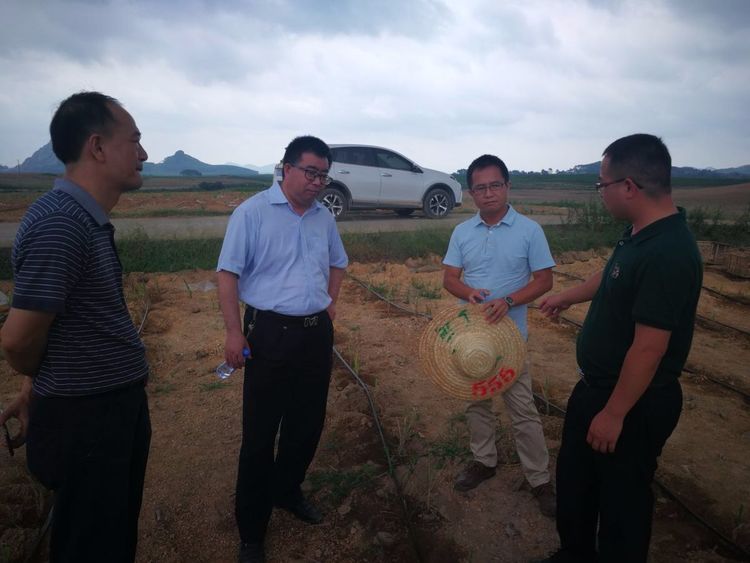 廣西來賓市進行超聲波甘蔗技術交流會議