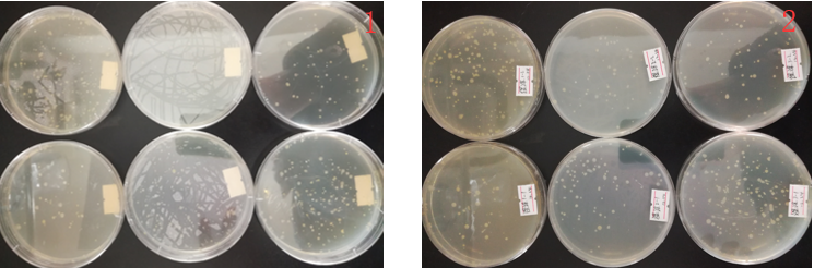 “超聲波處理對(duì)稻谷表面微生物的影響”發(fā)表論文啦??！