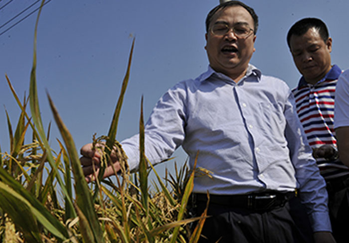 1700970282124305.jpg 1700970278(1).jpg