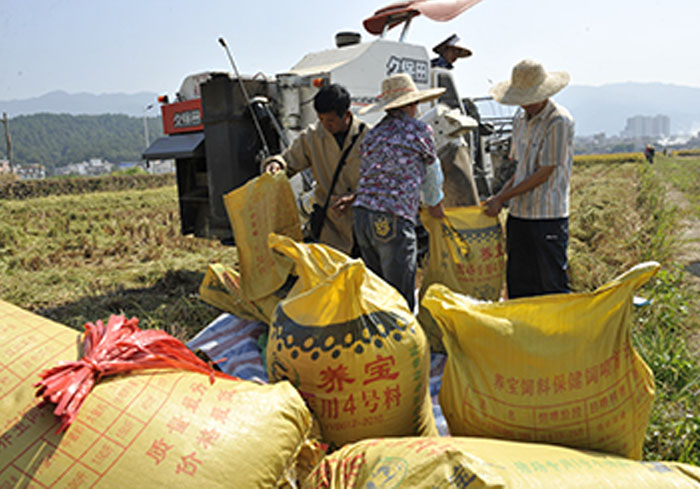 1700970348169389.jpg 1700970340(1).jpg