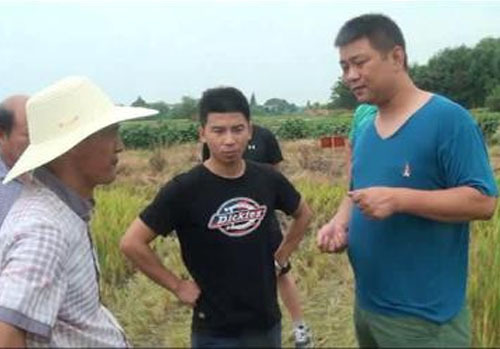 湘陰基地超聲水稻實(shí)測(cè)對(duì)比現(xiàn)場(chǎng)